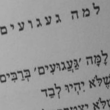 הכל יגליד מלבד הגעגוע