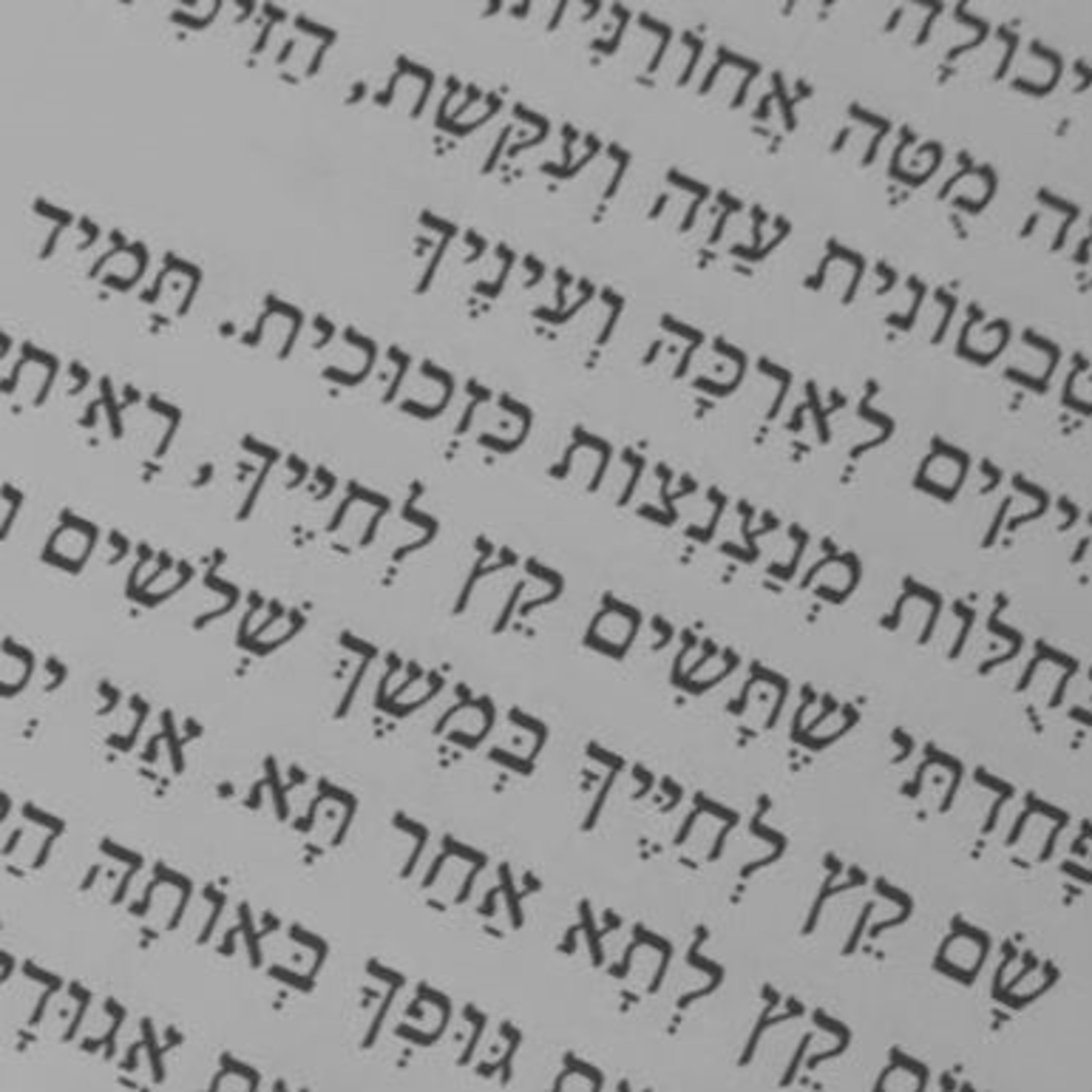 בשבח האחים והאחיות