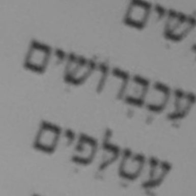 ג'ירפות ננסיות וחיות אחרות