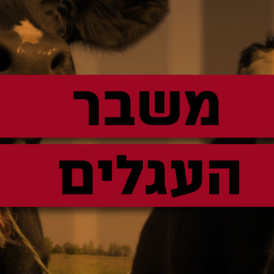 הכלכלה הפלסטינית