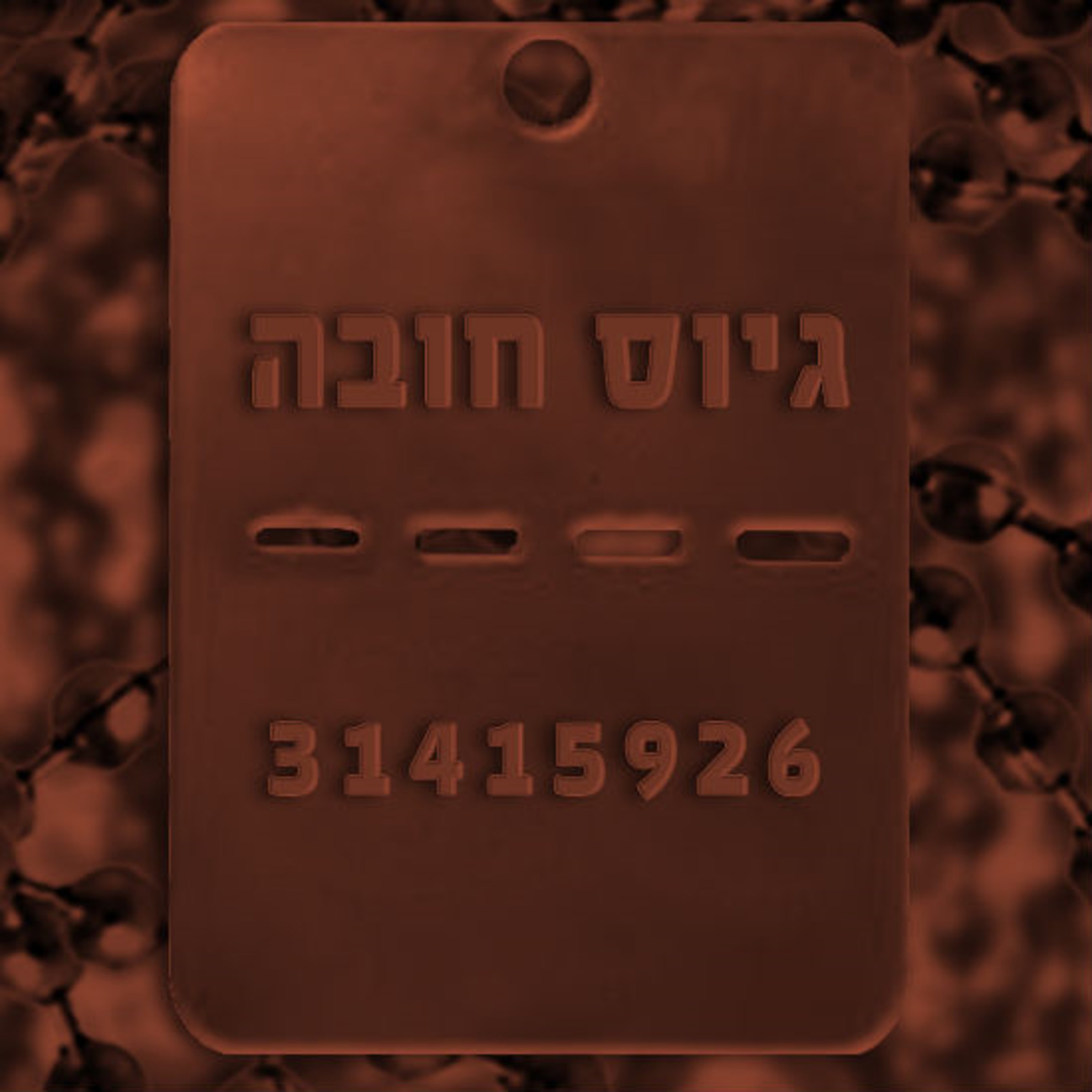 גיוס חובה תם אהרון – המונולוג המרכזי Tom Aharon Monologue גיוס חובה