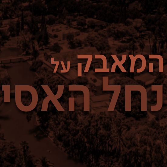 נחל האסי