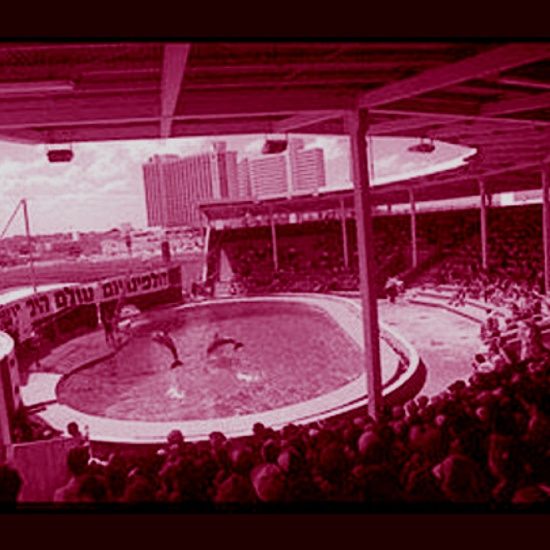 בנות הים מהדולפינריום