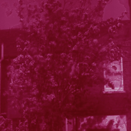 ספר החיים והמתים