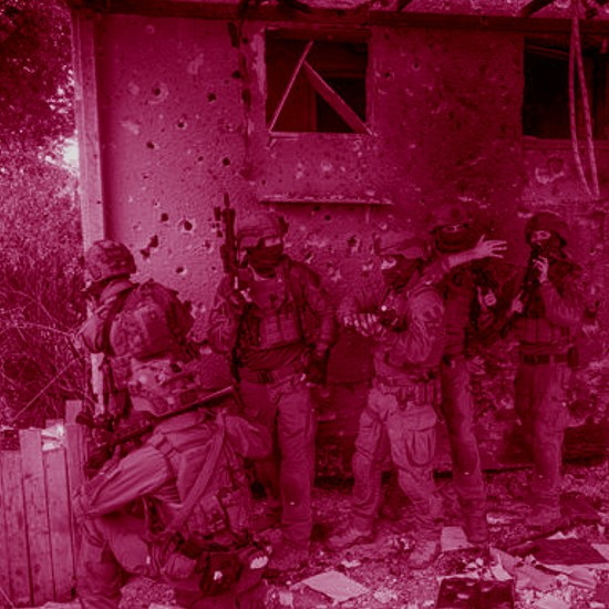 השגעון הגדול - המלחמה בספרות