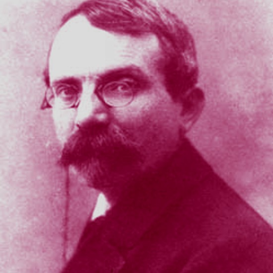 לאיזו מפלגה היה מצביע ברדיצ'בסקי?