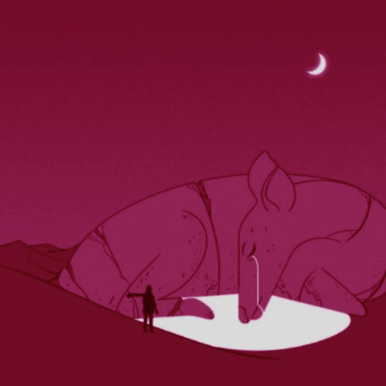 שנה של מהפכה ונחמה