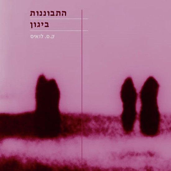 להסתכל ליגון בעיניים
