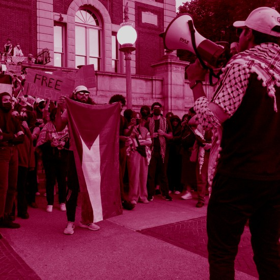 ספרות הביטול