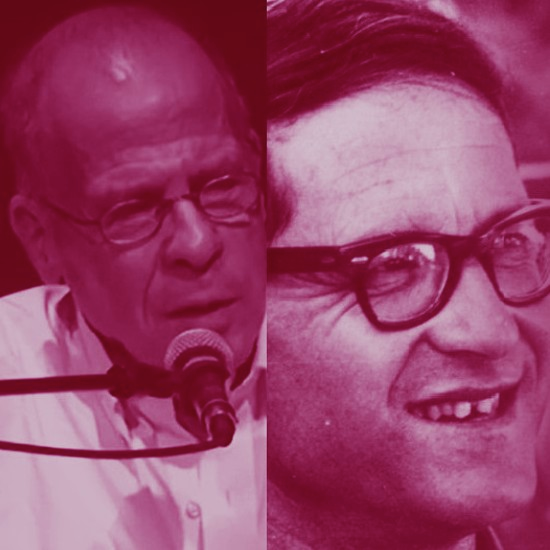 כה דומים הם וכלל לא דומים