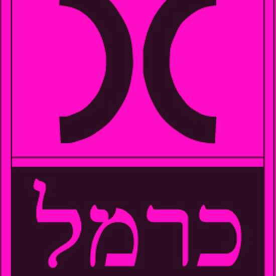 ישראל כרמל על מכירת הוצאת כרמל: "אני שמח"
