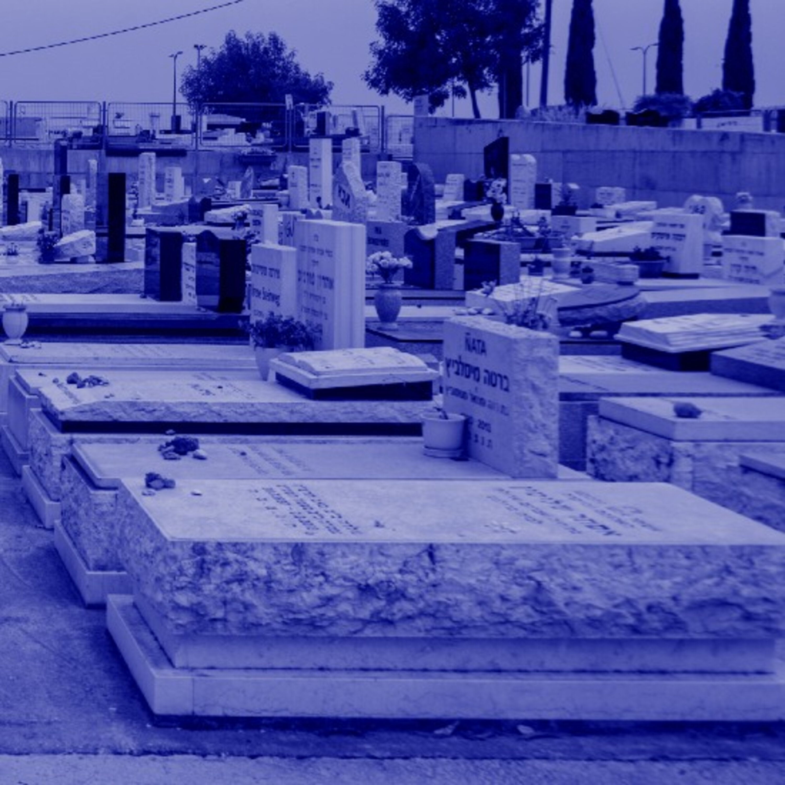 פרק 271: מצופפים שורות