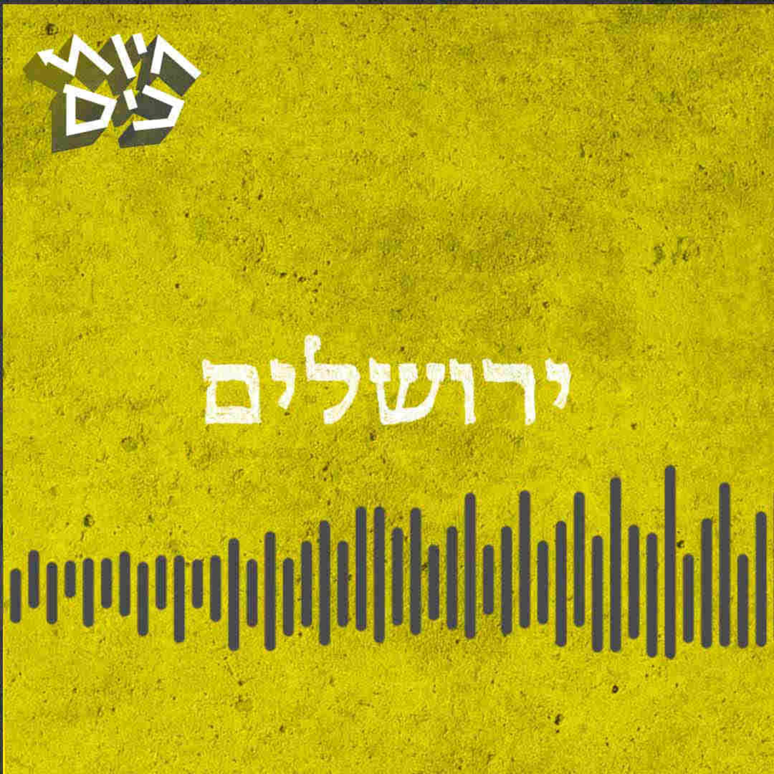 פרק 55: הקרב על ירושלים