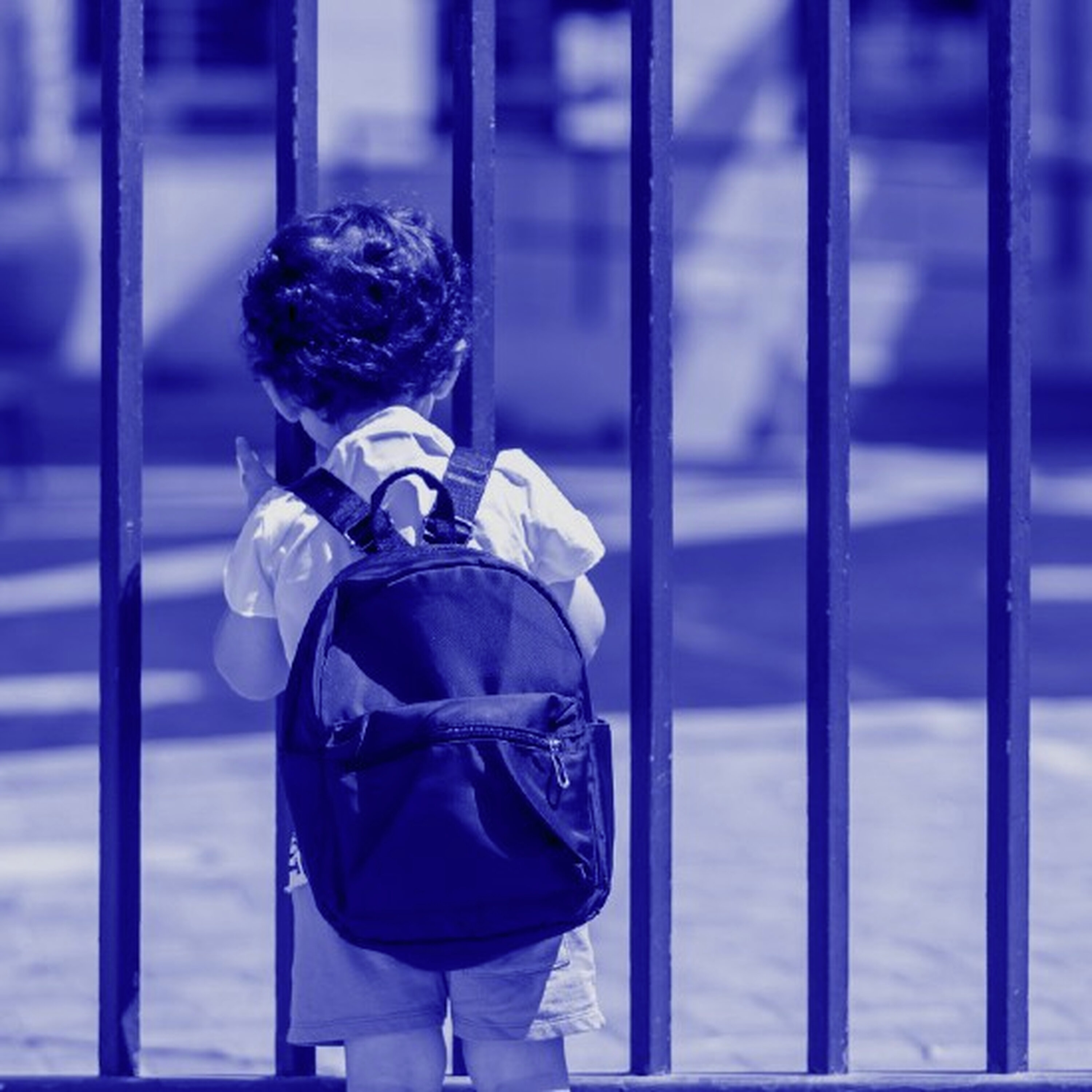 פרק 333: גן סגור פרק 333: גן סגור