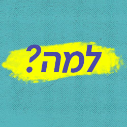 חיות כיס Hayot Kiss cover image