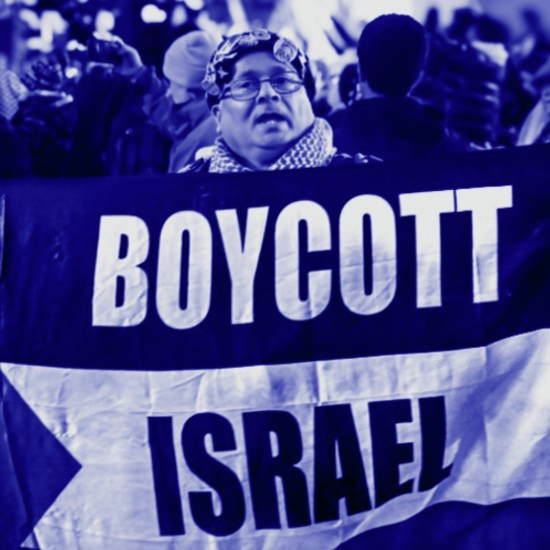 Chapter 339: Will We Survive the Boycott?