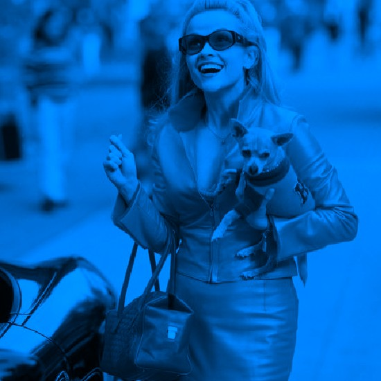 בלונדינית, אבל לפניך