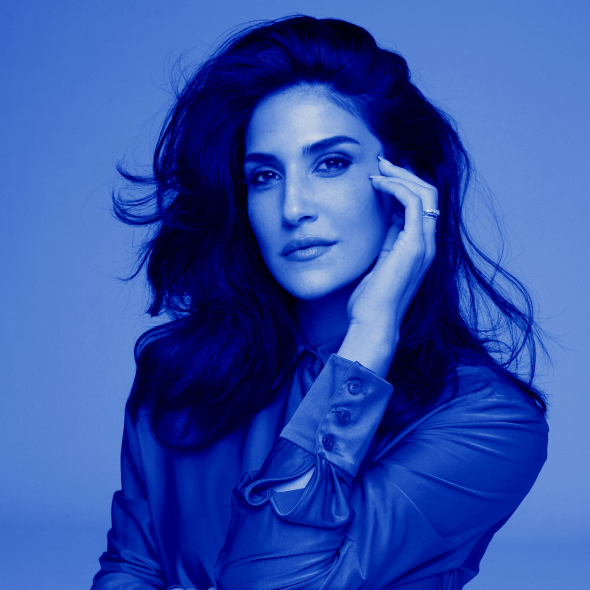 אנטומיה של גיז'דור