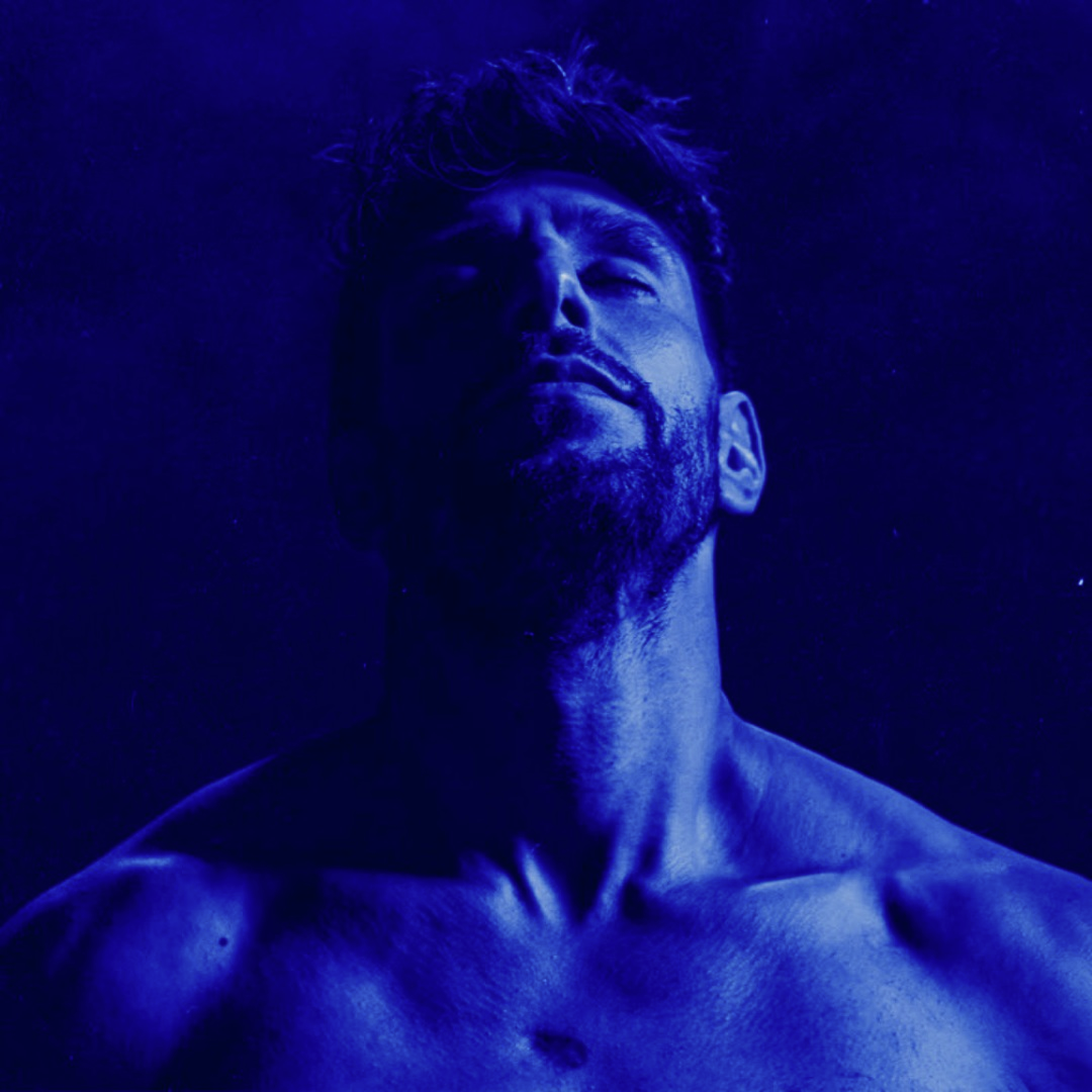 עלייתו של גבר האלפא