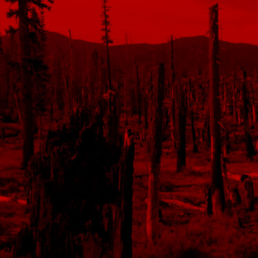 היכולת שלנו פסיכית