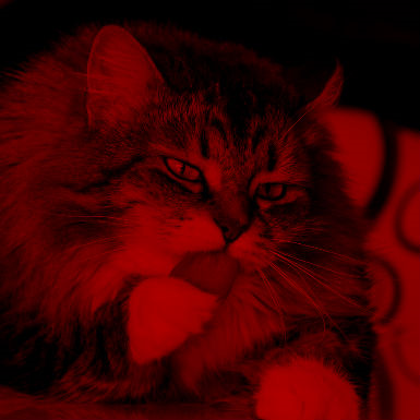 צדיק ויראלי