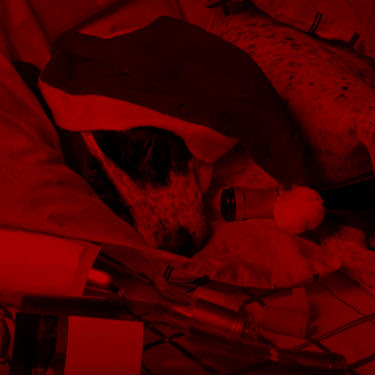 אין בתקופה הזו יופי