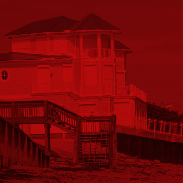 החיידק מנצח