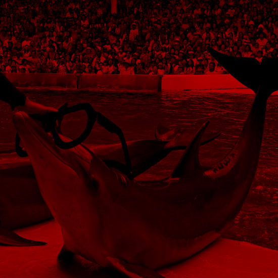 יש דברים שלא צוחקים עליהם