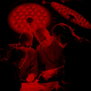 שום דבר לא כמו שתוכנן