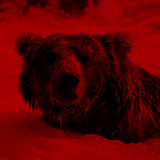 האצטדיון זה אני