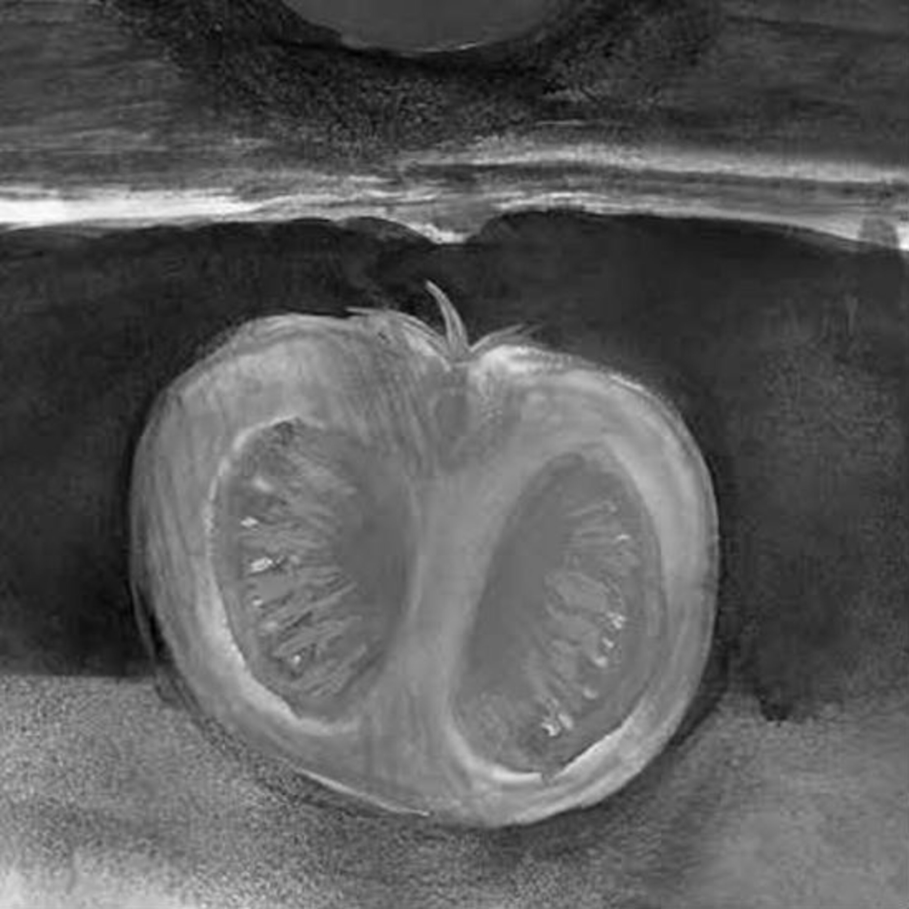 תרגילים בפרידה תרגילים בפרידה