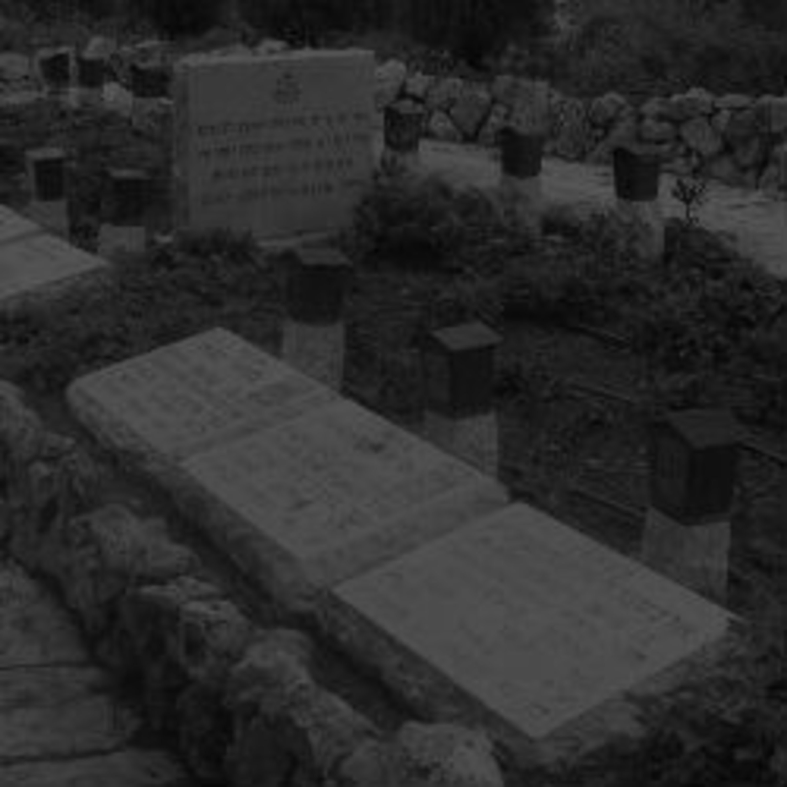 "העברית מאוהבת במוות" "העברית מאוהבת במוות"