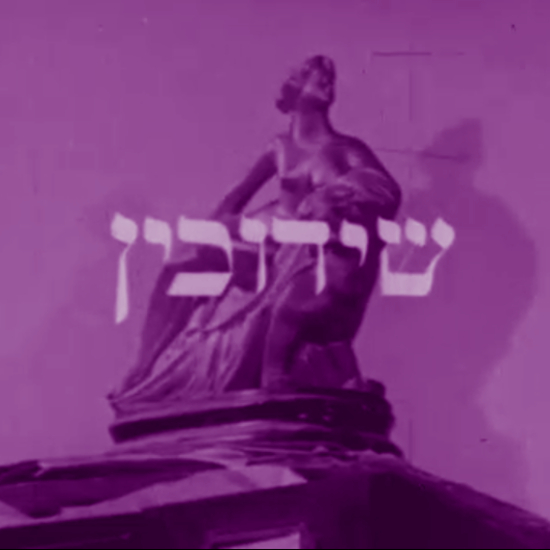 פרק 92: בשידוך חוקר