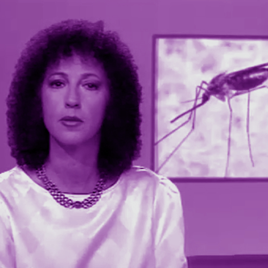 פרק 118: אין שום יתוש בעולם