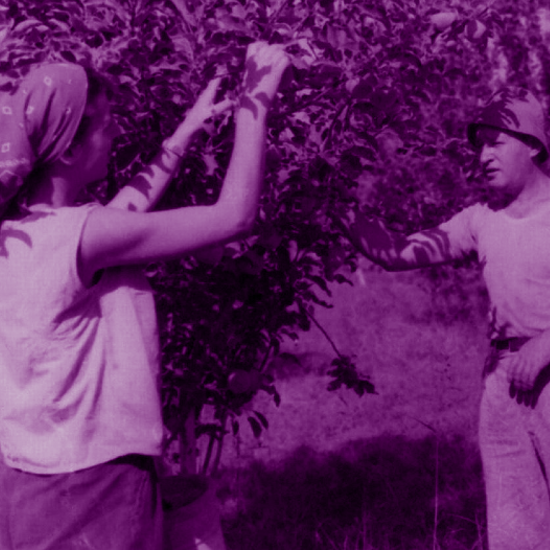 מהדורת מלחמה: הקאובויז של 1973