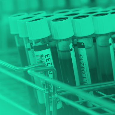 פותחים חשבון בבנק הביולוגי