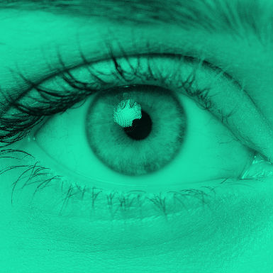 חלון הראווה למוח