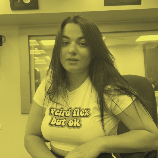 מרכיבים ממשלה קומפלט