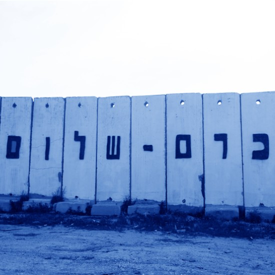 כרם שלום - ביחד ננצח! episode artwork