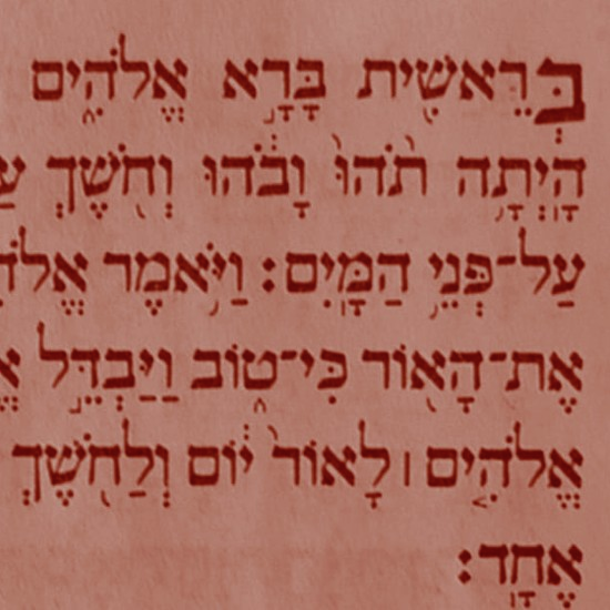 מתחילות מבראשית