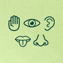 לראות אנשים סגולים