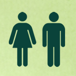 הסיפור המופלא של סוז