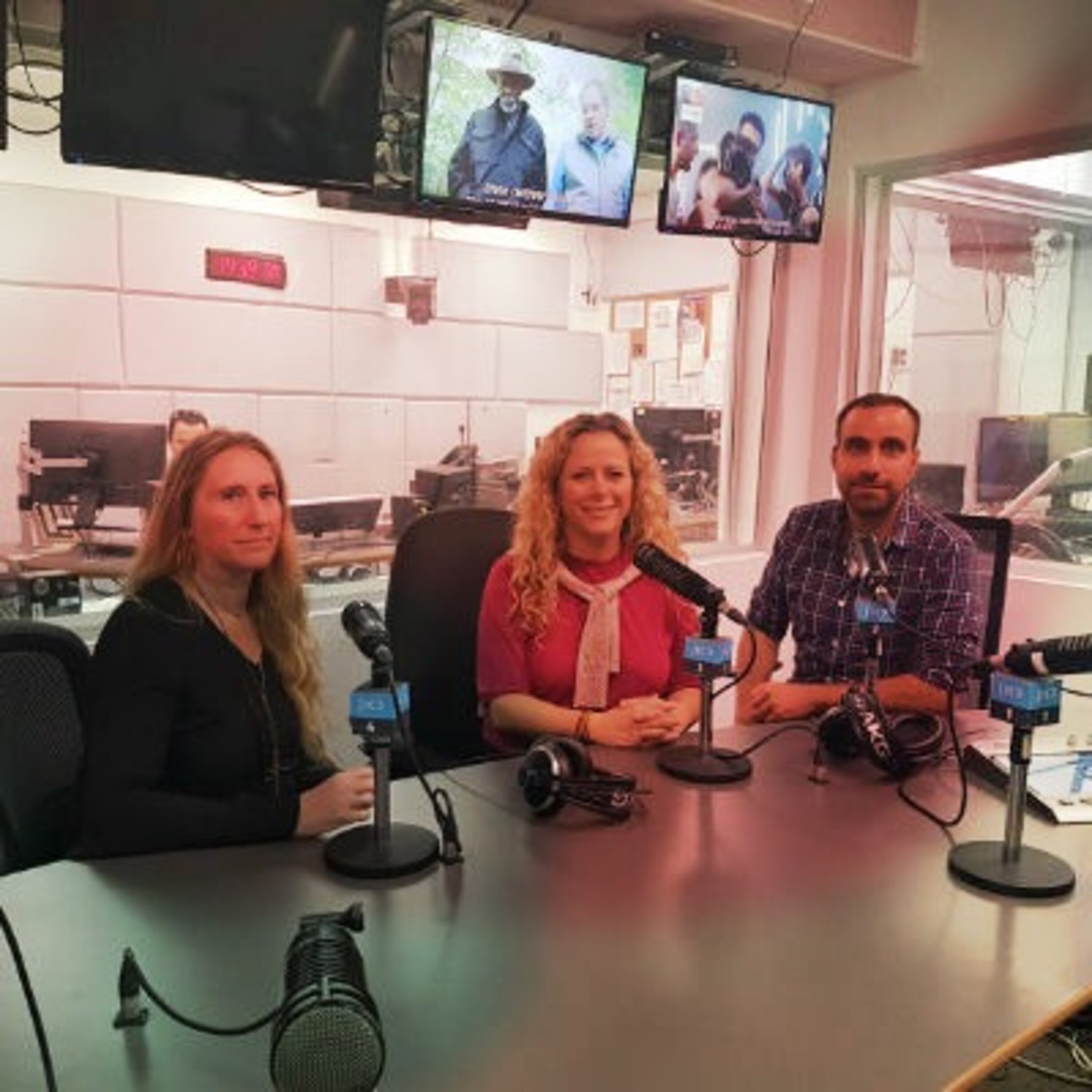 שקיעה או לידה מחדש: קרב ההישרדות של העבודה שקיעה או לידה מחדש: קרב ההישרדות של העבודה