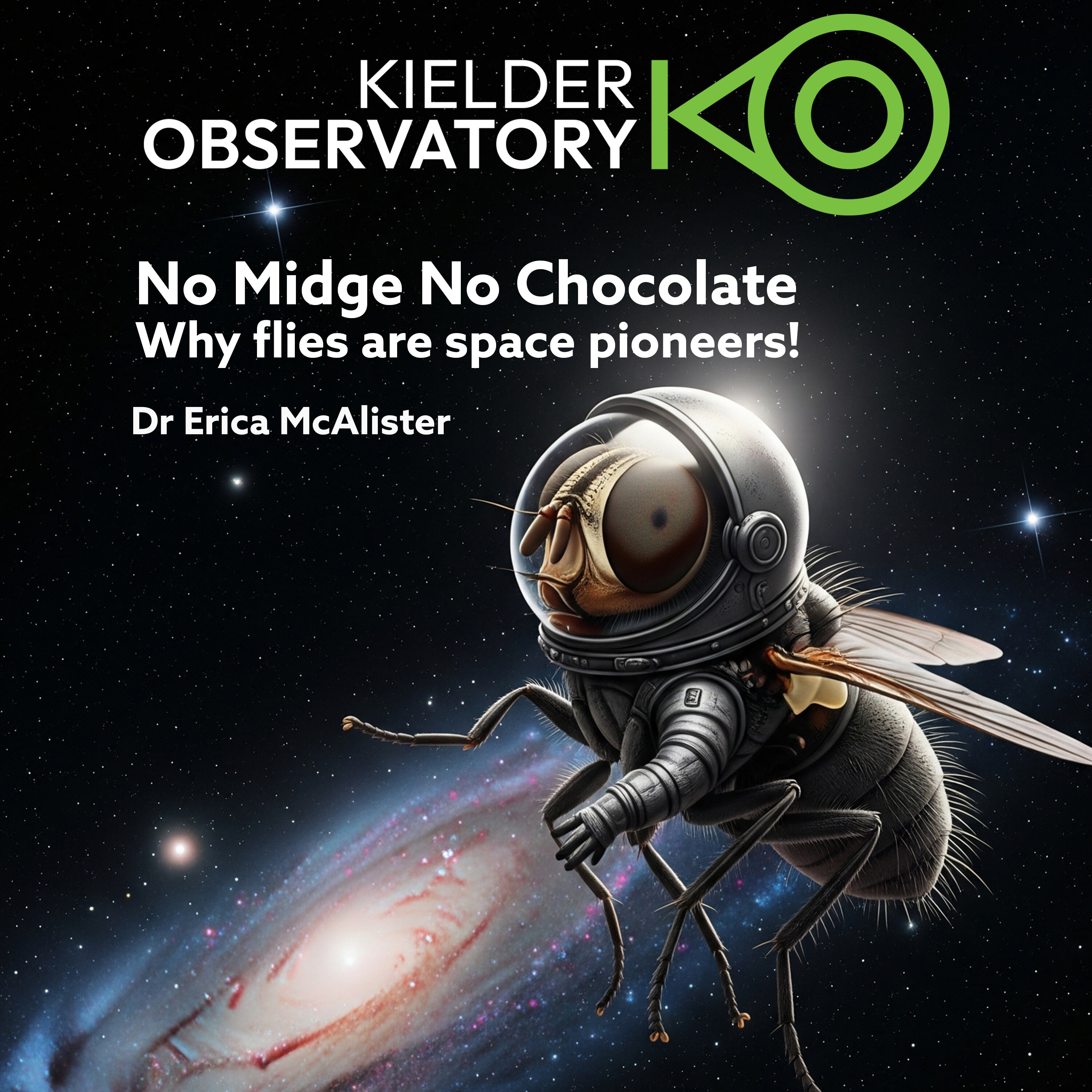Why you should love the Fly! Dr Erica McAlister episode artwork