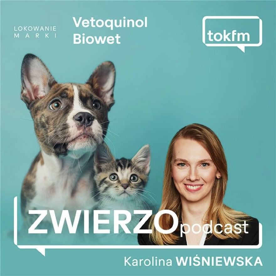 Koty to czyściochy. Kiedy wylizywanie futerka staje się jednak problemem? [lokowanie marki]