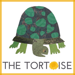 Introducing The Tortoise