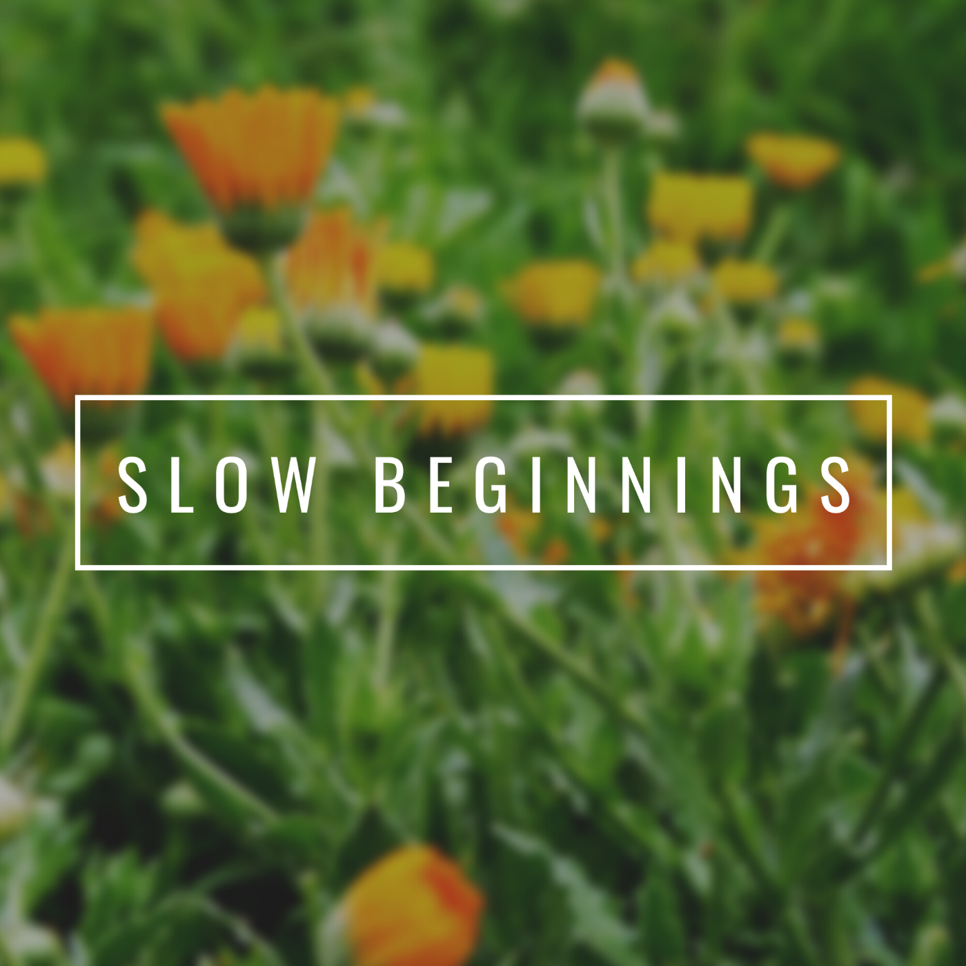 Slow Beginnings April 2020