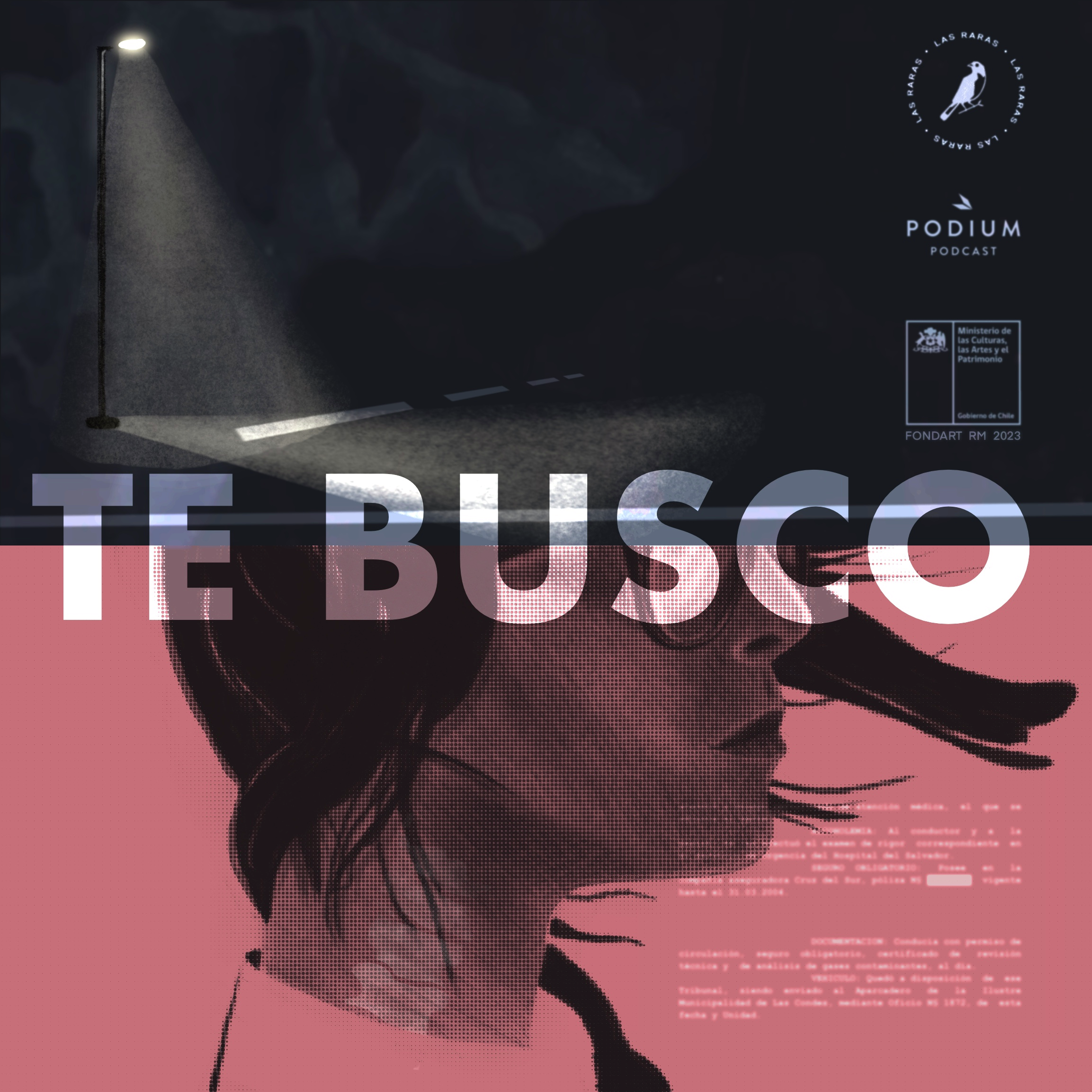 Imagen de TE BUSCO - Epílogo: El último mensaje del conductor