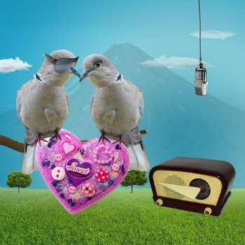 Imagen de Tórtolos: los amorcitos
