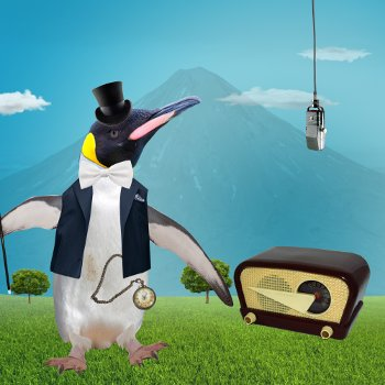 Imagen de Pingüino: elegante y versátil
